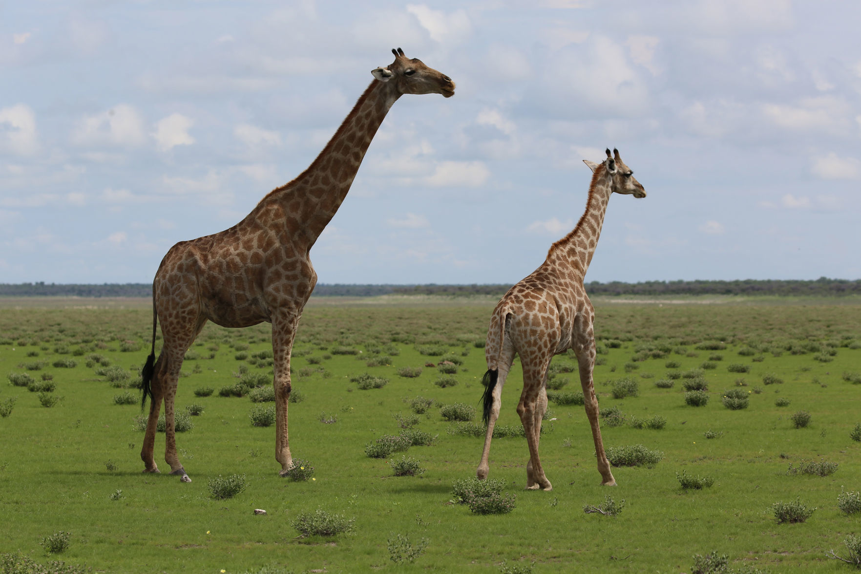1. Explore Namibia